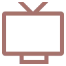Televizor